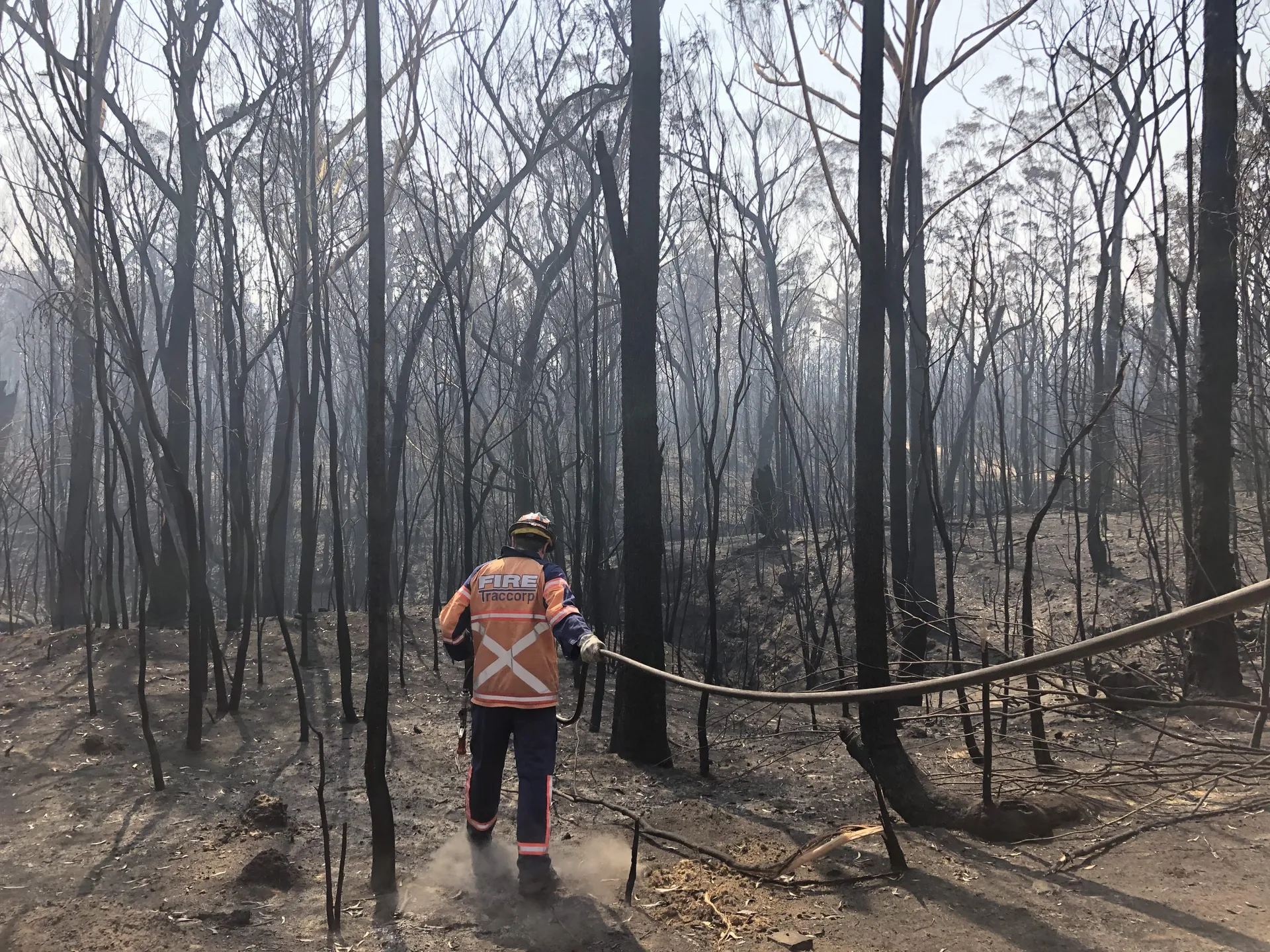 Traccorp firefighter working a hose line through burnt bush