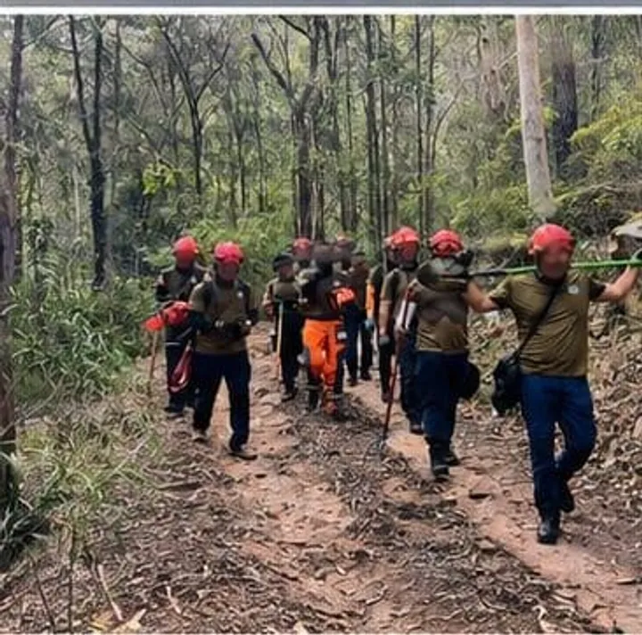 Wildfire program participants moving through bush with hand tools